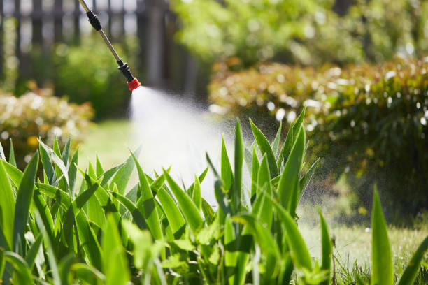 24/7 Emergency Mosquito Control experts in Prairie Ridge, WA